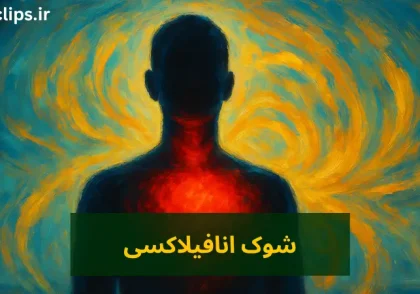 آنافیلاکسی چیست؟