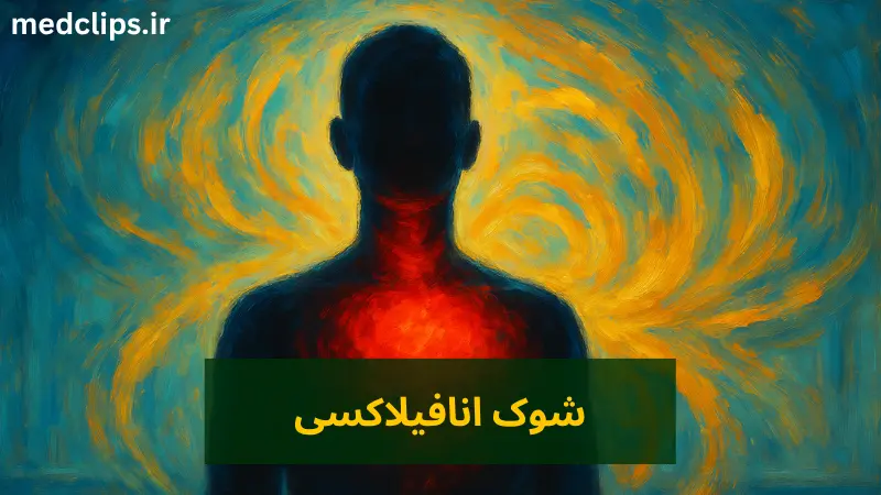 آنافیلاکسی چیست؟